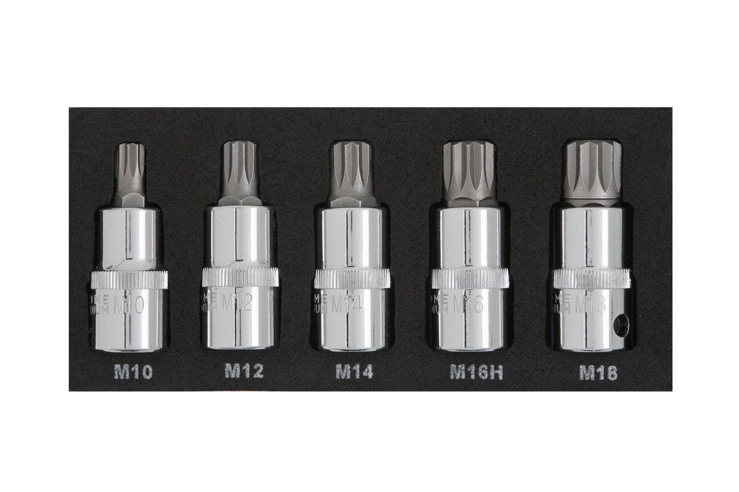 BlueSpot 5 PCE 1/2" Spline Bit Set (M10-M18) (EVA FOAM) 01509