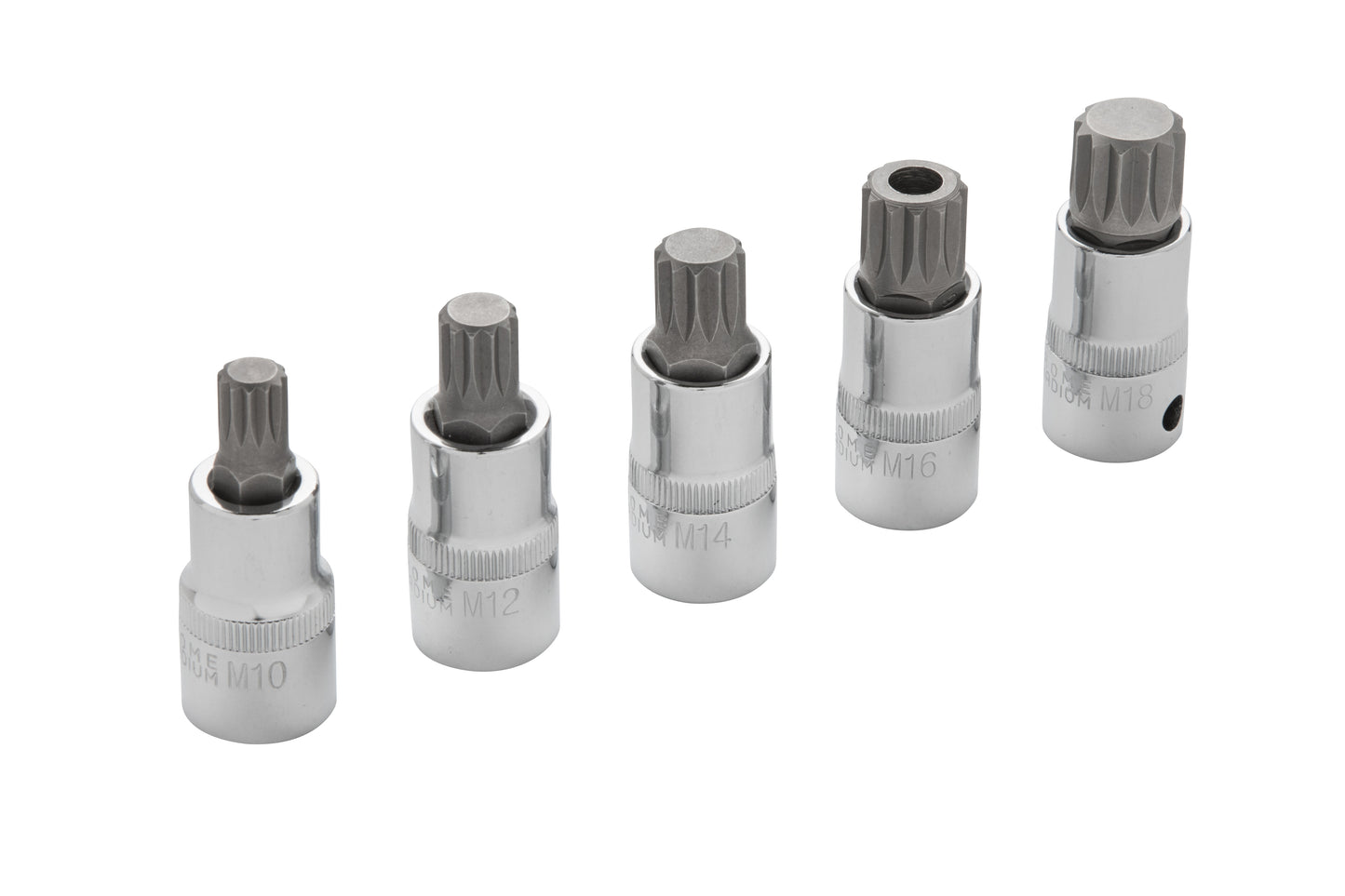 BlueSpot 5 PCE 1/2" Spline Bit Set (M10-M18) (EVA FOAM) 01509