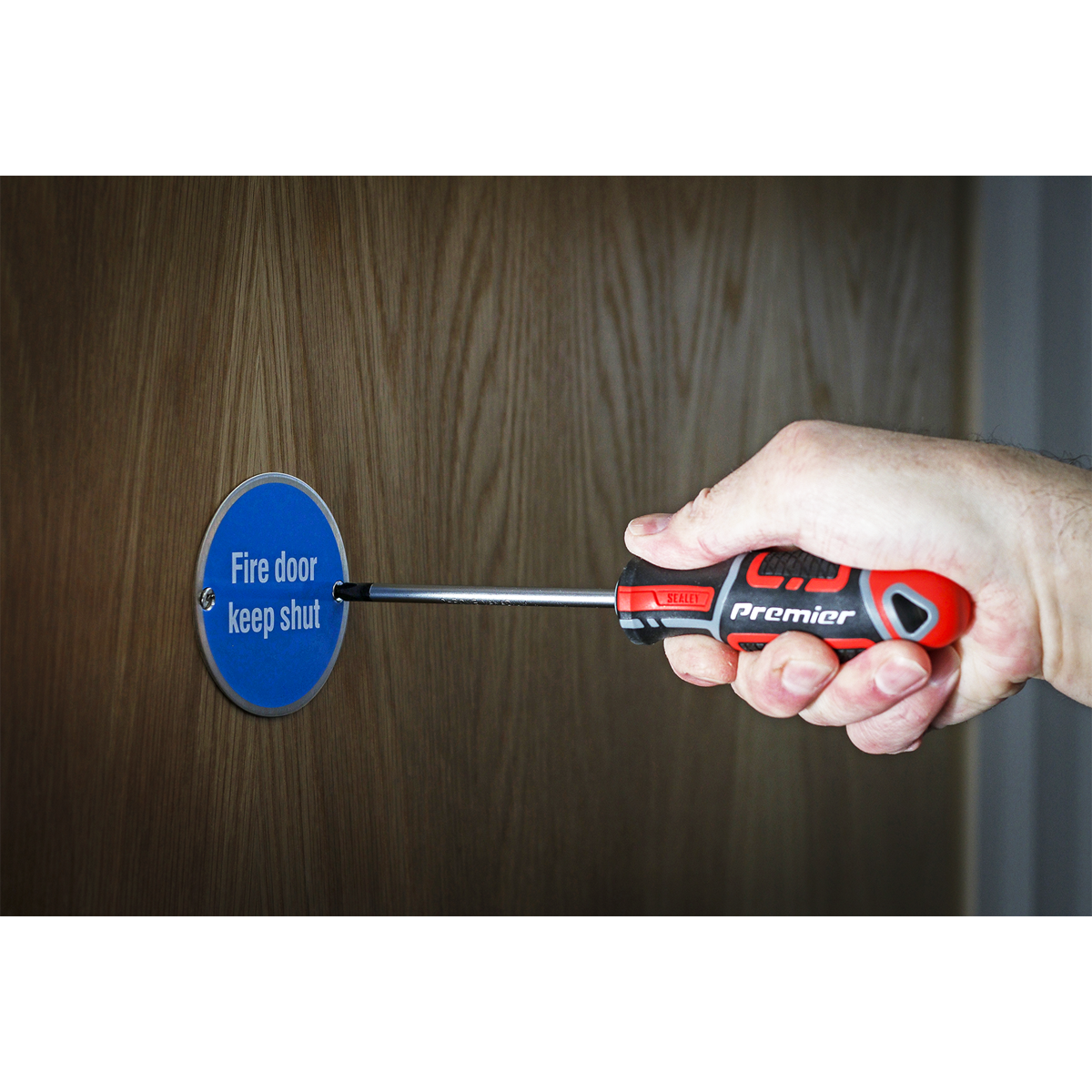 Sealey #2 x 100mm GripMAX® Phillips Screwdriver AK4361