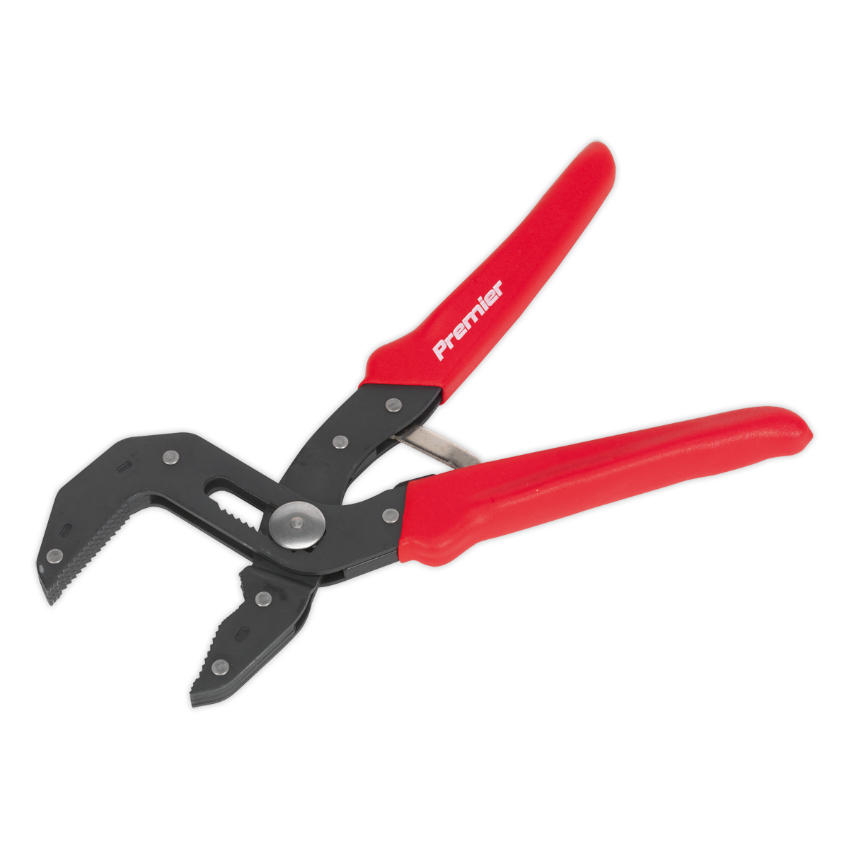 Sealey 250mm Self-Adjusting Multi-Grip Pliers AK8536