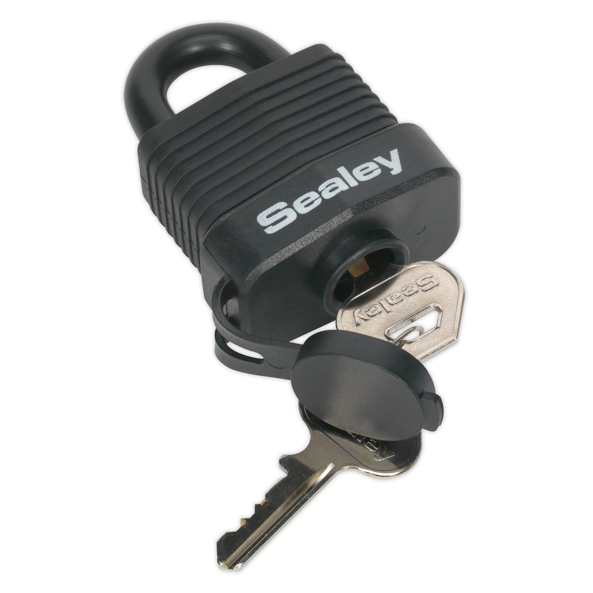 Sealey 45mm Steel Body Weatherproof Padlock PL301W