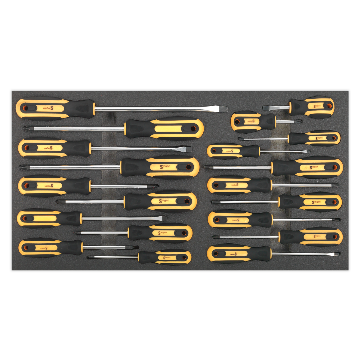 Sealey 20pc Screwdriver Set with Tool Tray S01127