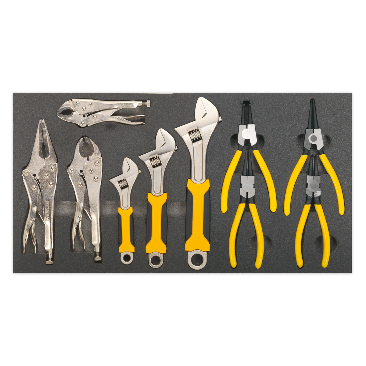 Sealey 10pc Adjustable Wrench & Pliers Set with Tool Tray S01130