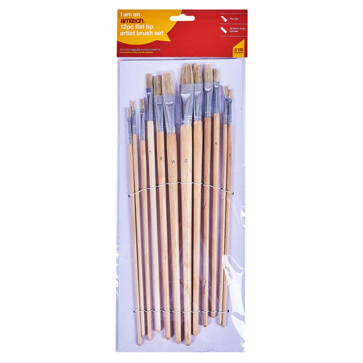 Amtech 12 Piece flat tip art brush set S4145