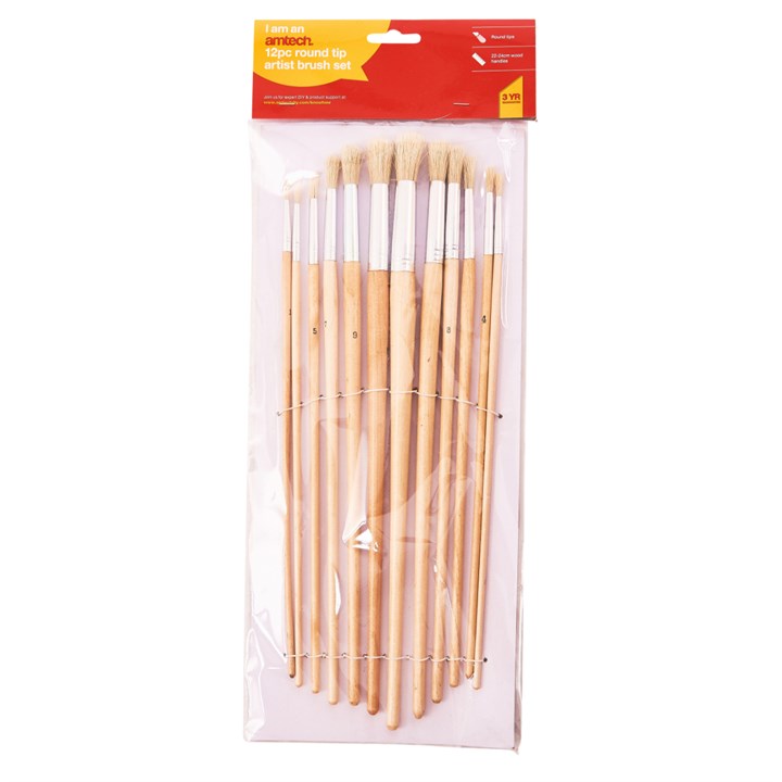 Amtech 12 Piece round tip art brush set S4146