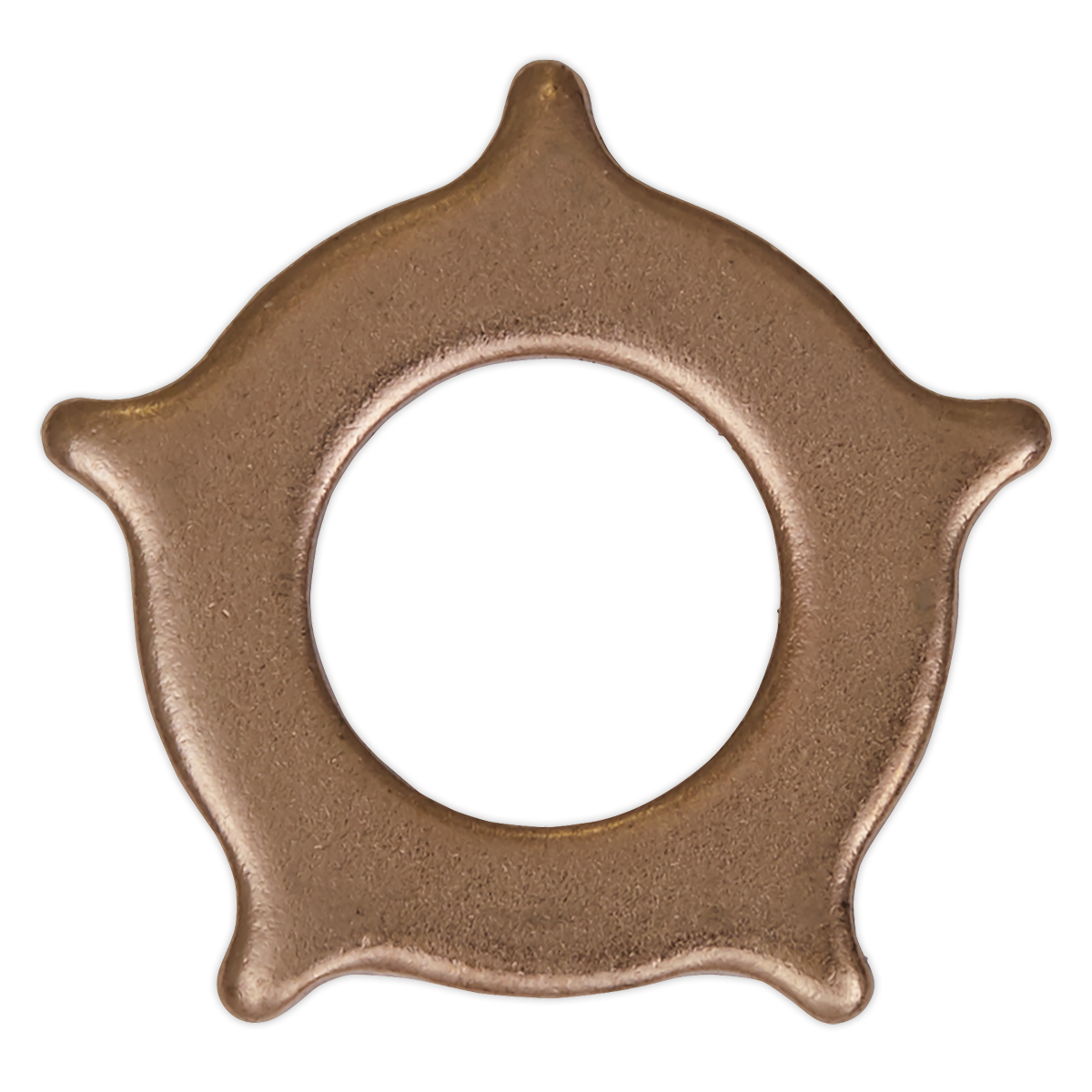 Sealey Star Washer for SR2000 Pack of 10 SR2000.SW