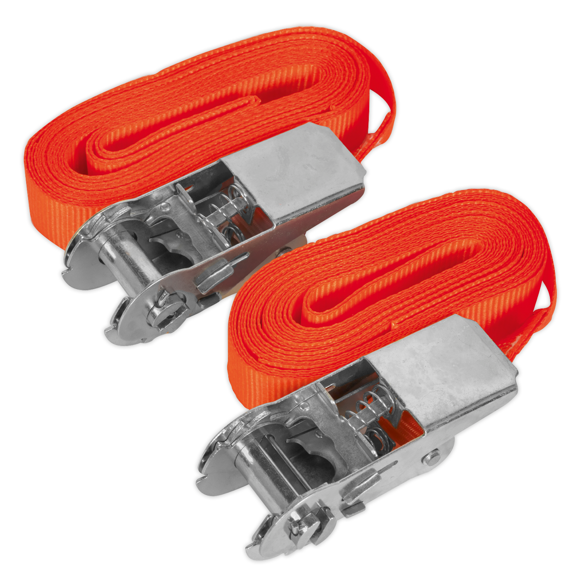 Sealey 25mm x 4.5m Self-Securing Ratchet Tie Down 500kg Breaking Strength - Pair TD05045E