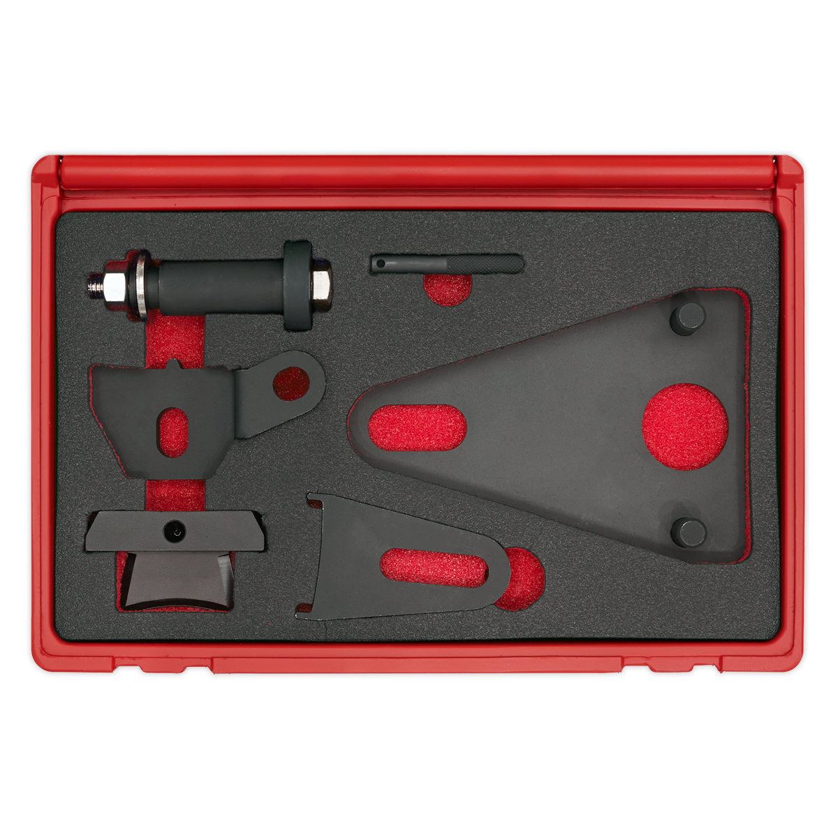 Sealey Front Pulley & Flywheel Locking Tool Set VSE5032