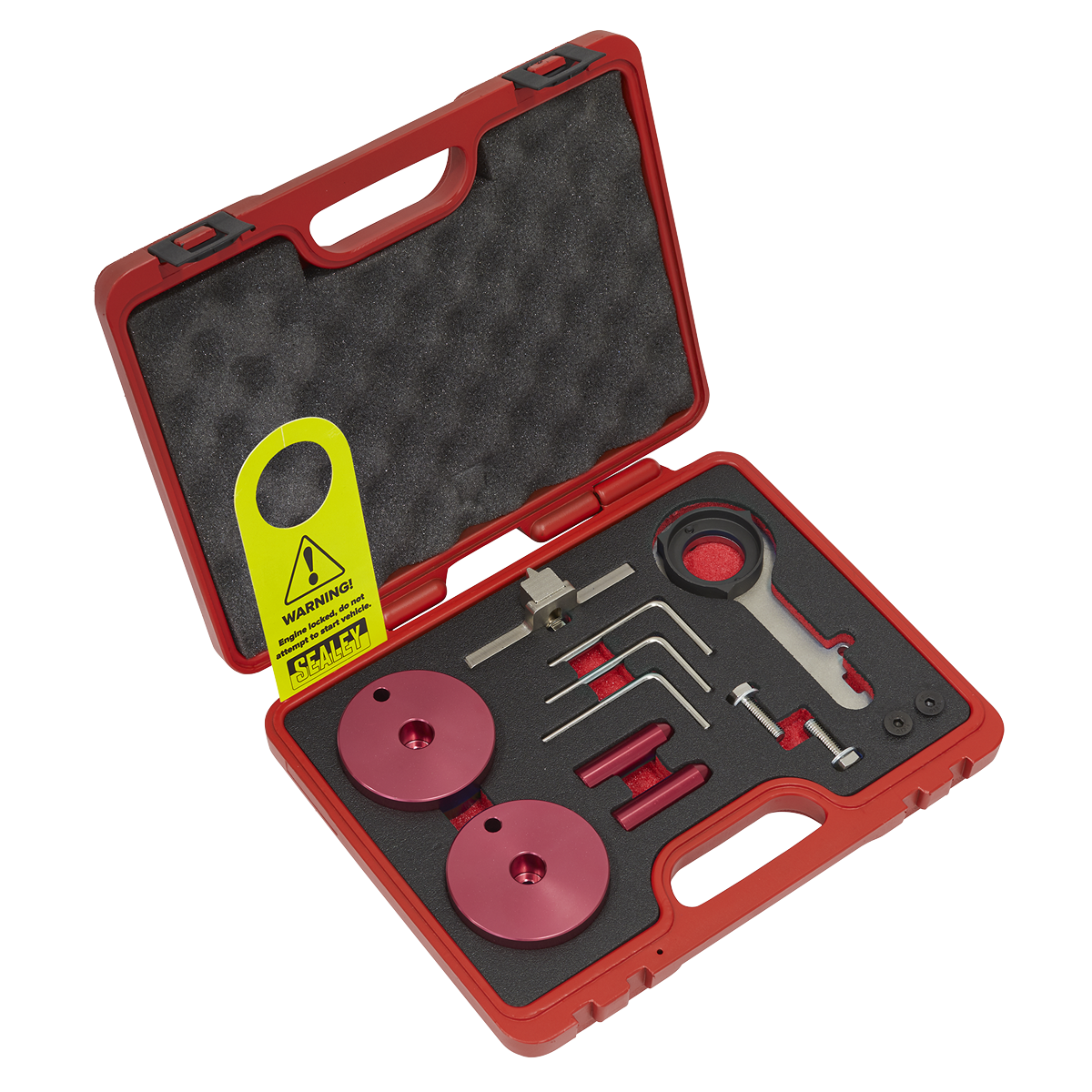 Sealey Diesel Engine Timing Tool Kit - for Ford 2.0TDCi EcoBlue - Belt Drive VSE5640