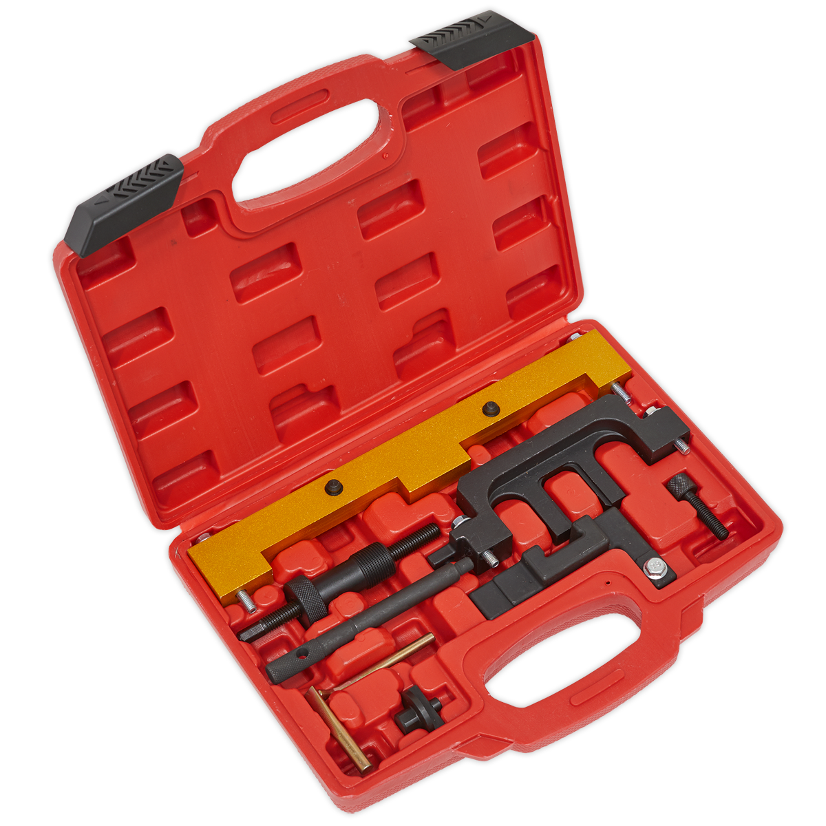 Sealey Petrol Engine Timing Tool Kit - for BMW 1.8, 2.0 N42/N46/N46T - Chain Drive VSE5911A