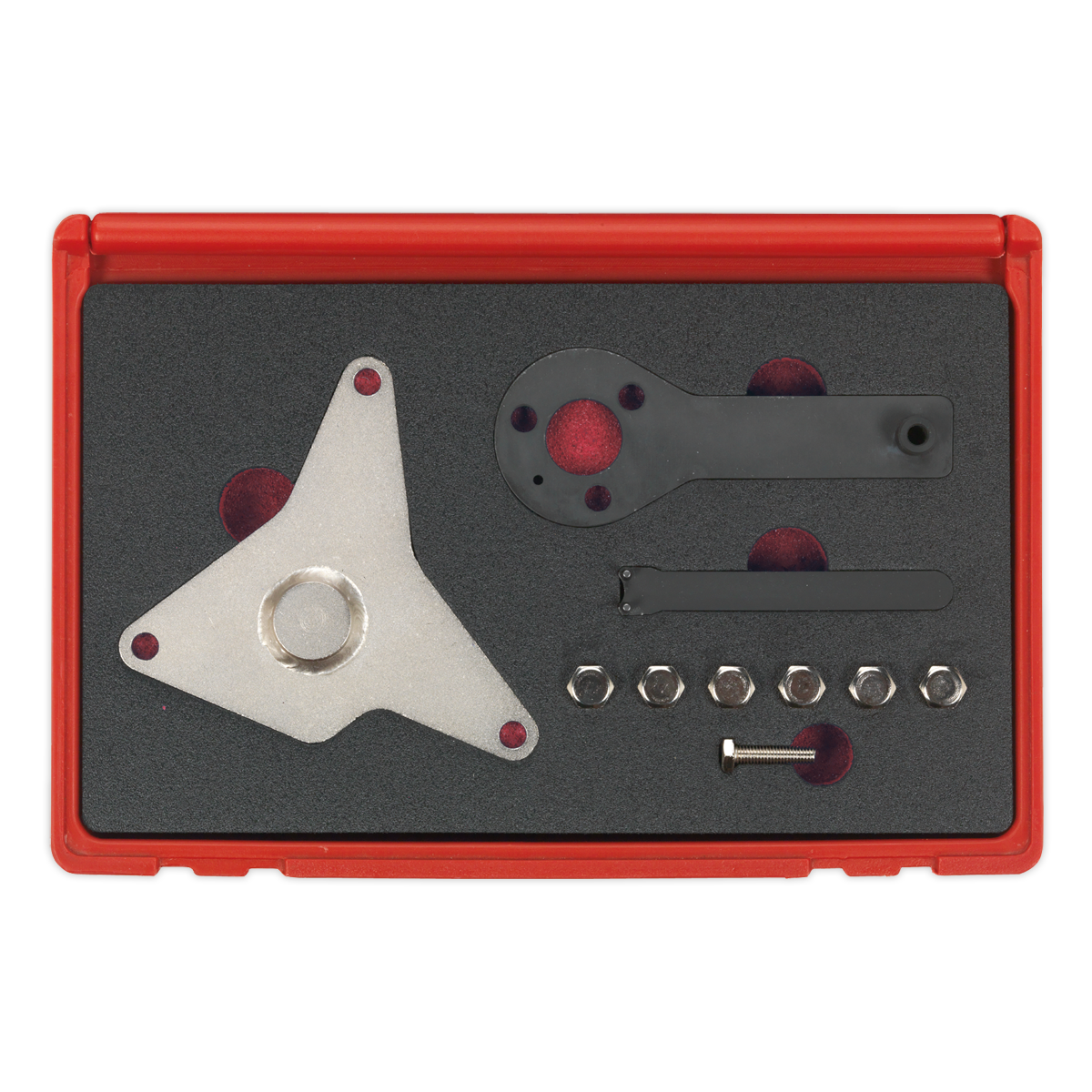 Sealey Petrol Engine Timing Tool Kit - for Alfa Romeo, Fiat 1.4 MultiAir - Belt Drive VSE6161