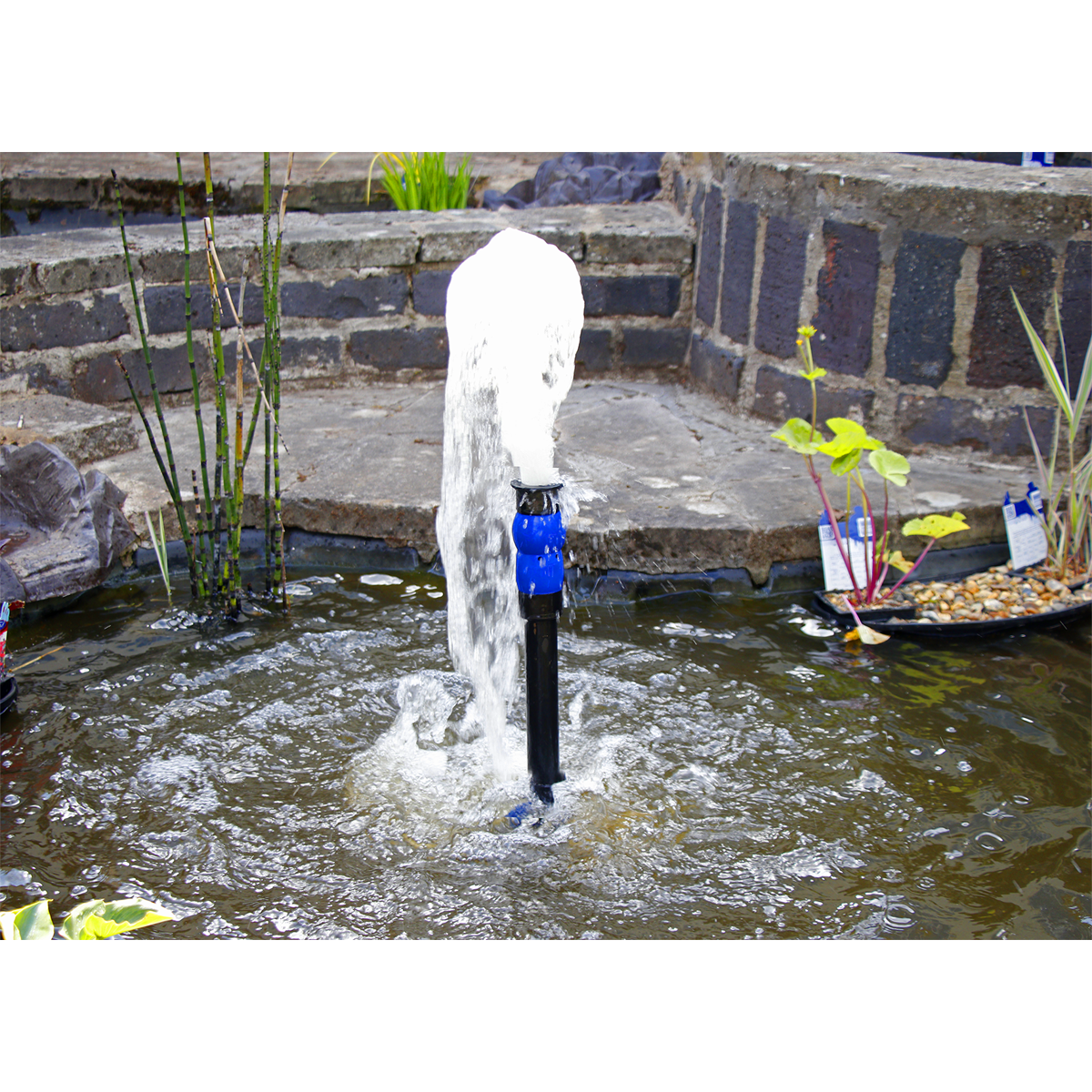 Sealey 3600L/hr Stainless Steel Submersible Pond Pump WPP3600S