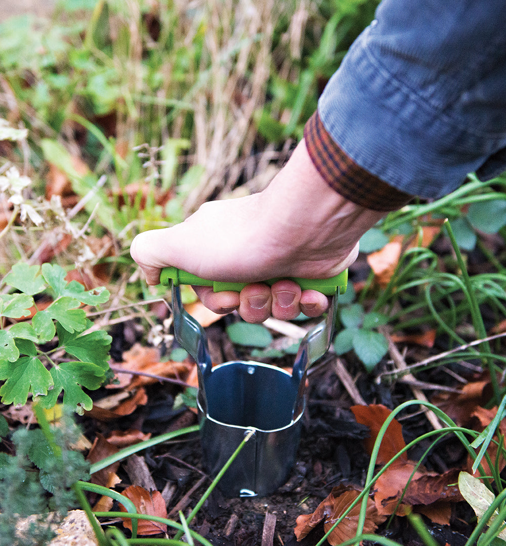 Silverline Bulb Planter 235mm