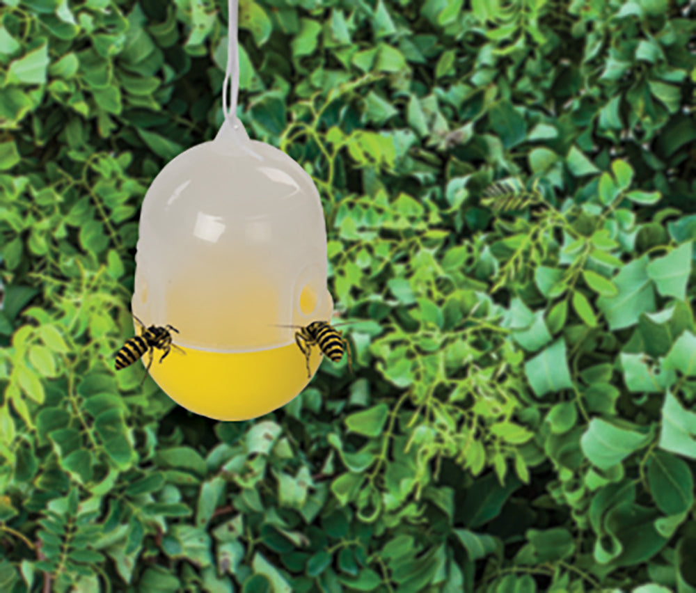 Fixman Wasp Trap 125 x 80 x 80mm