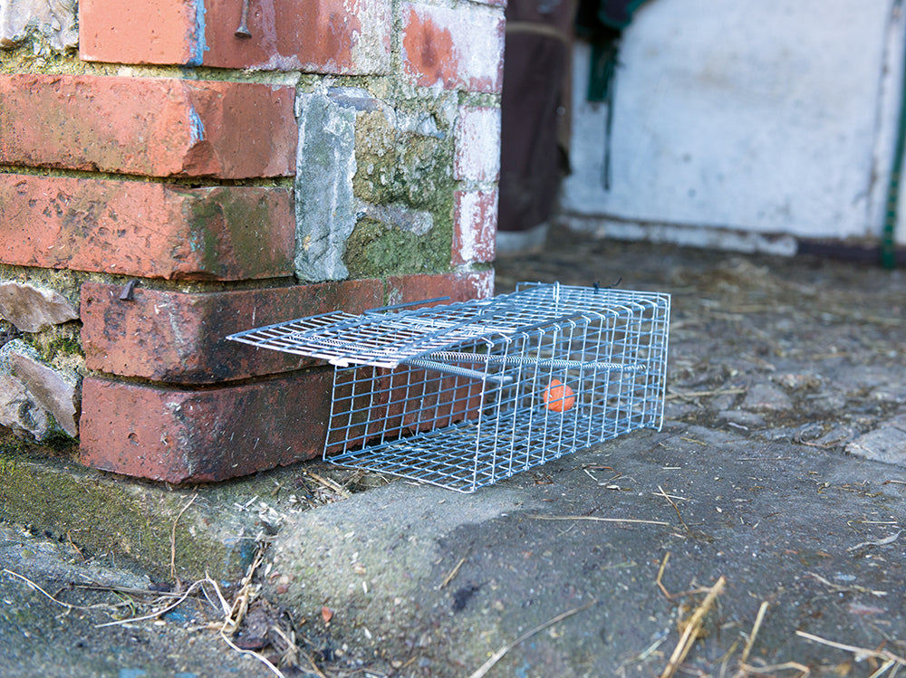 Fixman Rat Cage Trap 300 x 150 x 130mm