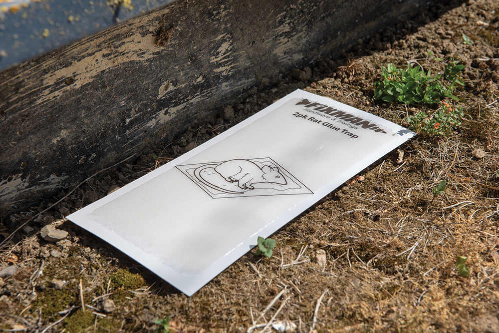 Fixman Rat Glue Trap 2pk 2pk
