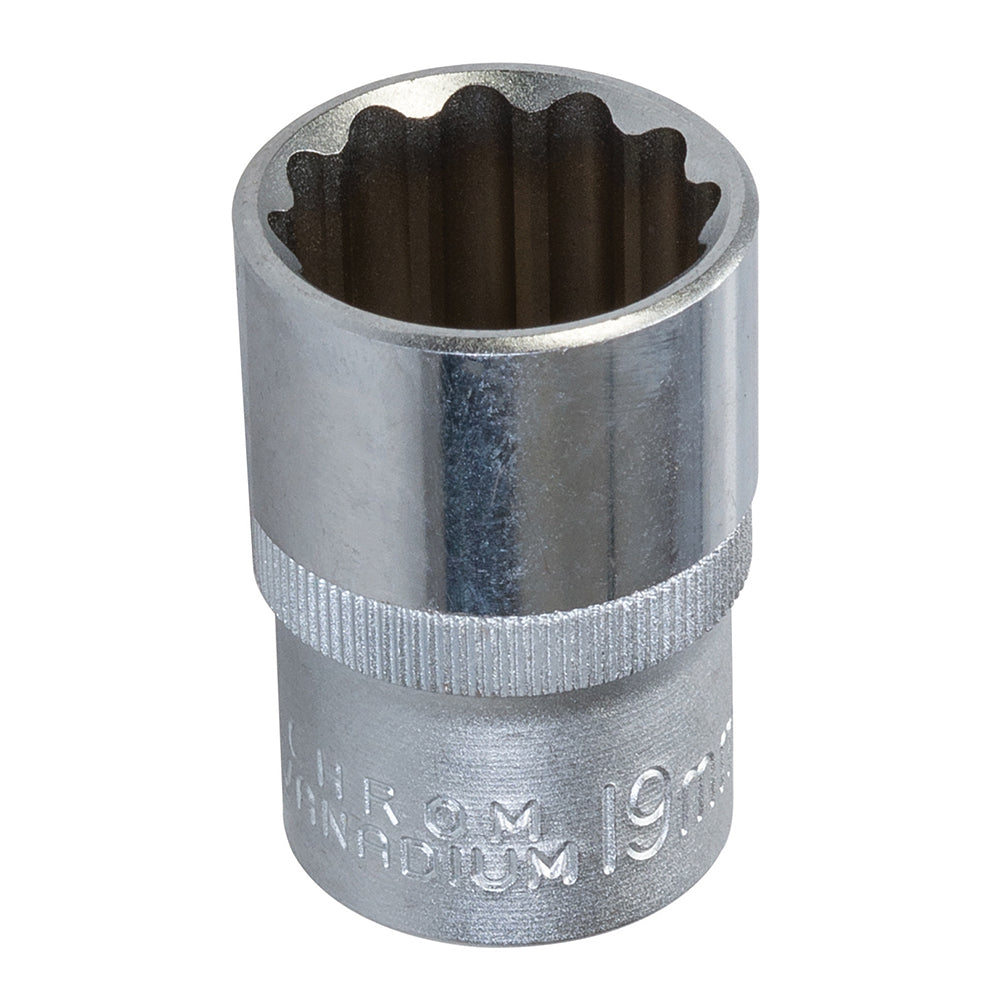 King Dick Socket 1/2" SD 12pt Metric 19mm