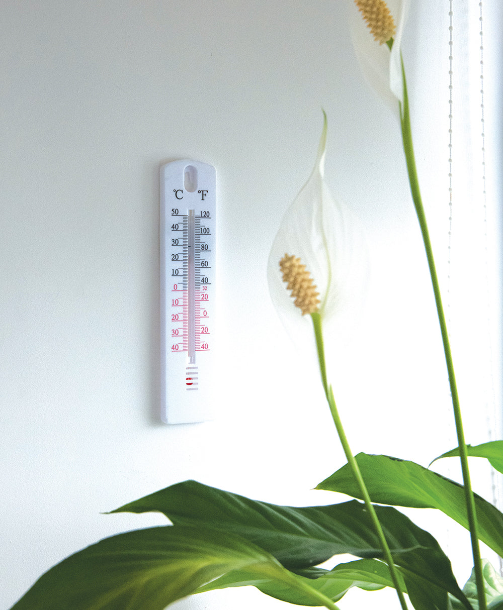 Task Indoor/Outdoor Stick-On Thermometer -40° to +50°C
