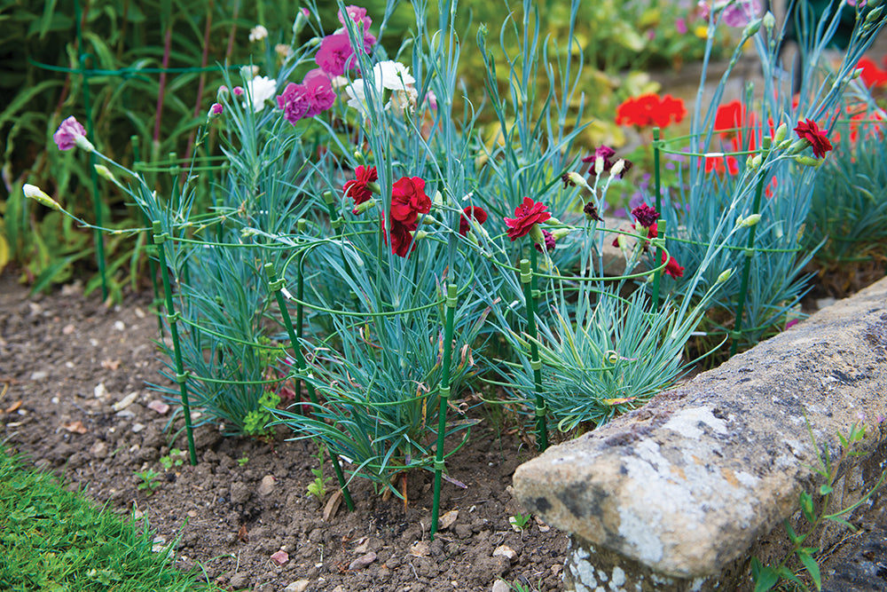 Silverline Plant Support 3 Ring 450mm