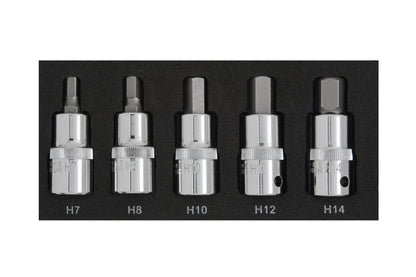 BlueSpot 5 PCE 1/2" Hex Bit Set (H7-H14) (EVA FOAM) 01507