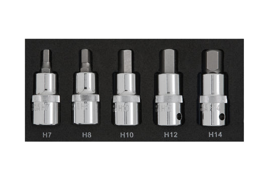 BlueSpot 5 PCE 1/2" Hex Bit Set (H7-H14) (EVA FOAM) 01507