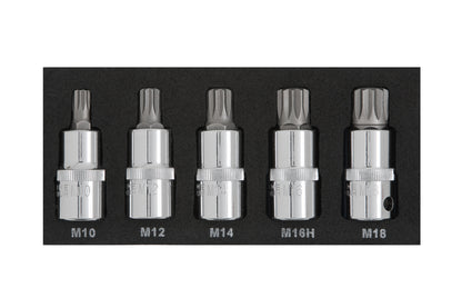 BlueSpot 5 PCE 1/2" Spline Bit Set (M10-M18) (EVA FOAM) 01509