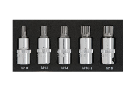 BlueSpot 5 PCE 1/2" Spline Bit Set (M10-M18) (EVA FOAM) 01509
