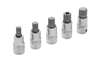 BlueSpot 5 PCE 1/2" Spline Bit Set (M10-M18) (EVA FOAM) 01509