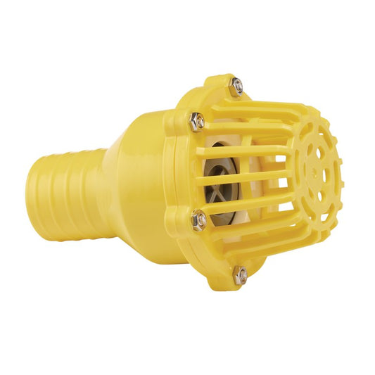 Draper Foot Valve Strainer, 50mm/2" DRA-19548