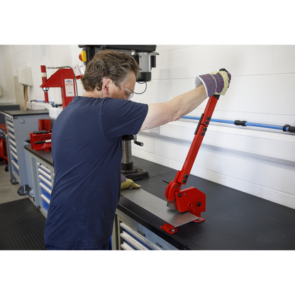 Sealey Metal Cutting Shears 4mm Capacity Ø10mm Round 3S/4R