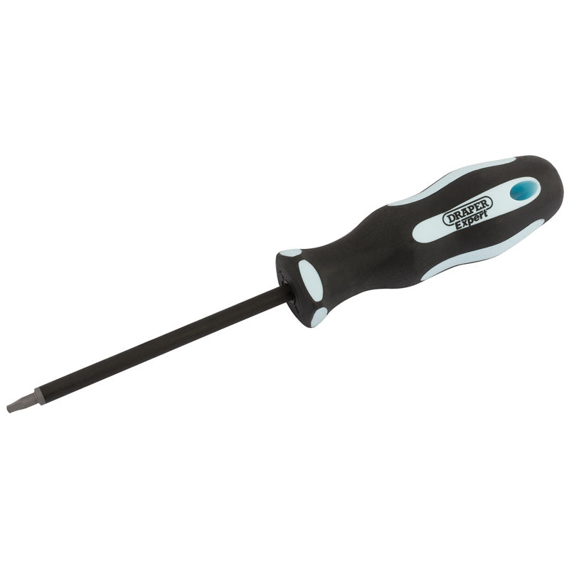 Draper Square Recess Soft Grip Security Screwdriver, S1 x 100mm DRA-75365