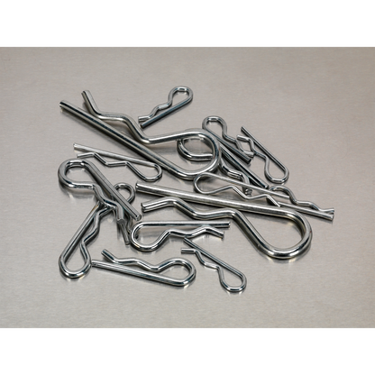 Sealey 150pc R-Clip Assortment AB002RC