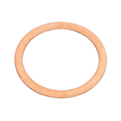 Sealey 250pc Copper Sealing Washer Assortment - Metric AB020CW