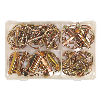 Sealey 50pc Linch Pin Assortment - Metric AB022LP