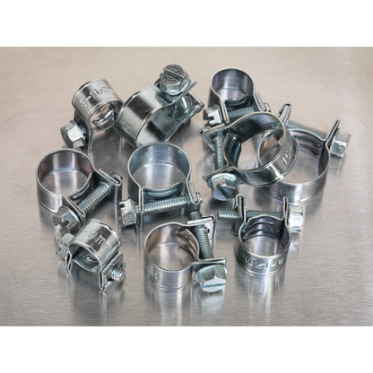 Sealey 100pc Mini Hose Clip Assortment DIN 1.0338 AB042MH