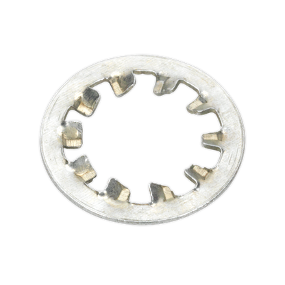 Sealey 1000pc Internal Serrated Lock Washer Assortment DIN 6798J - M5-M10 AB057LW