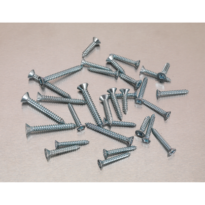 Sealey 510pc Zinc Plated Self Tapping Countersunk Pozi Screw Assortment - DIN 7982 AB062STCS