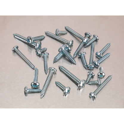 Sealey 305pc Self Tapping Pan Head Pozi Screw Assortment - DIN 798CZ AB064STPP