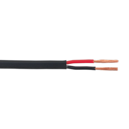 Sealey 30m 32/0.20mm Thin Wall Flat Twin Automotive Cable - Black AC3220TWTN