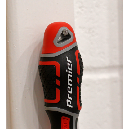 Sealey #2 x 100mm GripMAX® Phillips Screwdriver AK4361