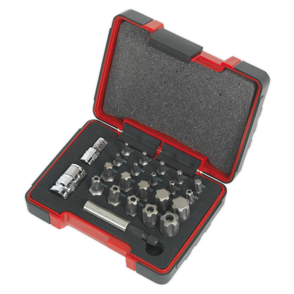 Sealey 23pc 1/4" & 3/8"Sq Drive TRX-P* & Security TRX-TS* Bit Set AK6226