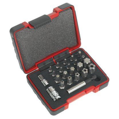 Sealey 23pc 1/4" & 3/8"Sq Drive TRX-P* & Security TRX-TS* Bit Set AK6226
