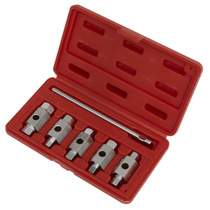Sealey 6pc Double End Drain Key Set AK659