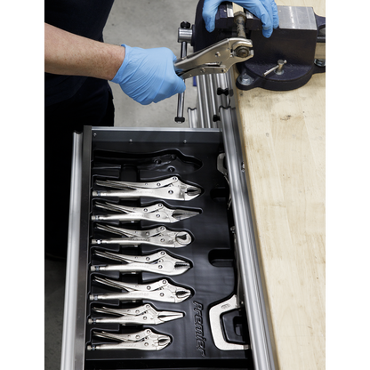 Sealey 10pc Locking Pliers Set AK6800