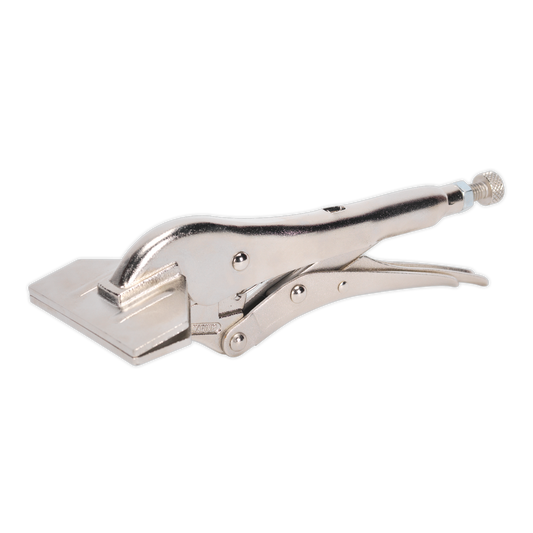 Sealey 200mm Sheet Metal Clamp AK6829
