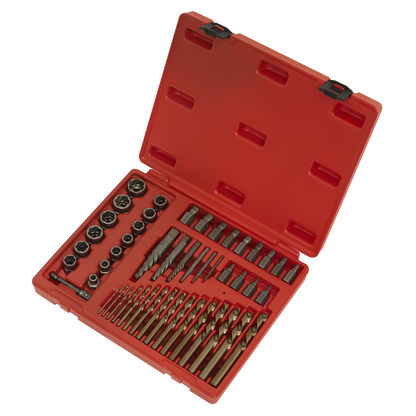 Sealey 49pc Master Extractor Set AK8149