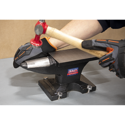Sealey 11kg Anvil ANV11