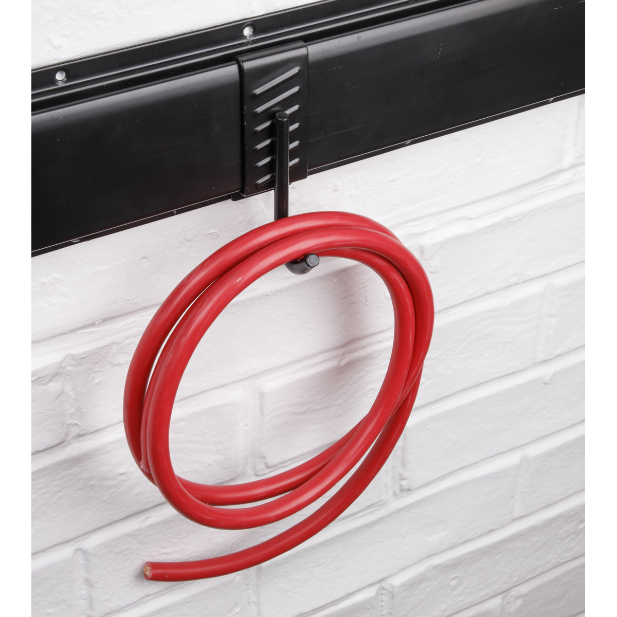 Sealey Single J Prong Storage Hook APH10
