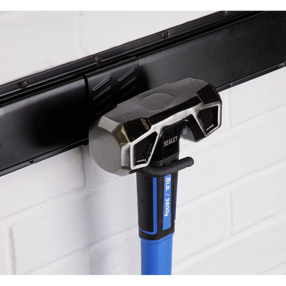 Sealey Single S Prong Storage Hook APH11