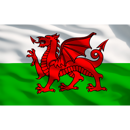 Sealey Toolbox Graphics Pack - Wales APTBG03